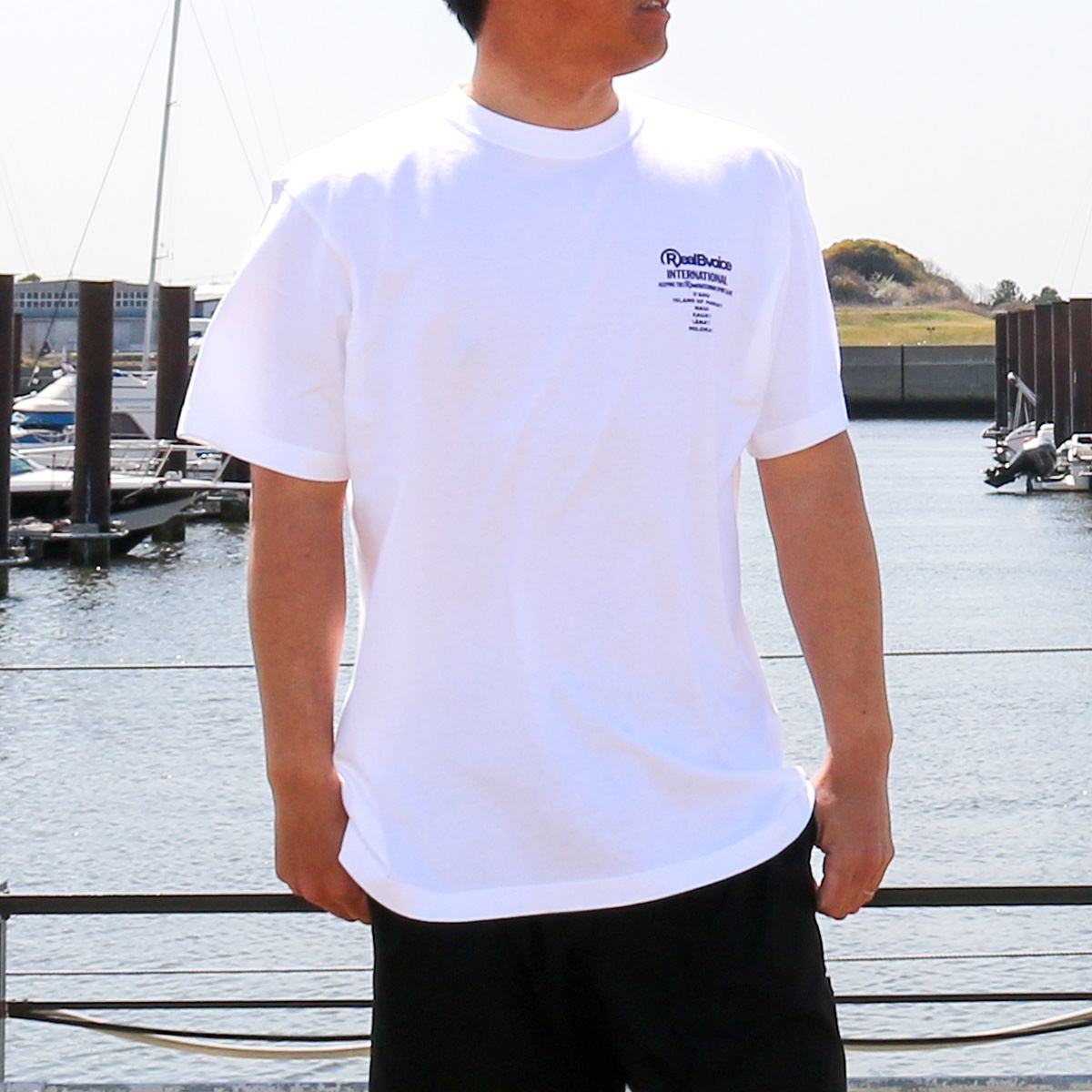 ISLAND HAWAII T-SHIRT アイランド ハワイ Tシャツ